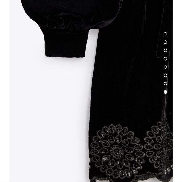 Zara dress Velvet - Picture 6 of 7